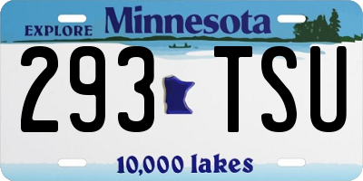 MN license plate 293TSU