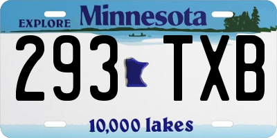 MN license plate 293TXB