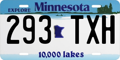 MN license plate 293TXH