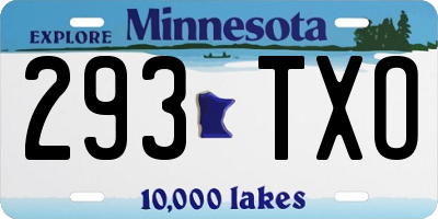 MN license plate 293TXO