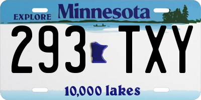 MN license plate 293TXY