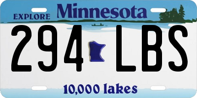 MN license plate 294LBS