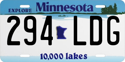 MN license plate 294LDG
