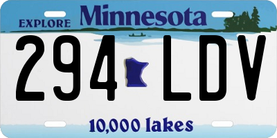 MN license plate 294LDV