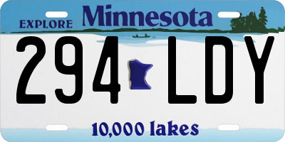 MN license plate 294LDY