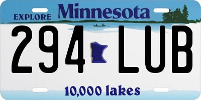 MN license plate 294LUB