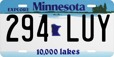 MN license plate 294LUY