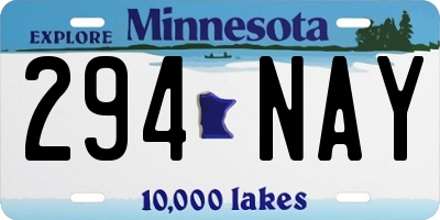 MN license plate 294NAY