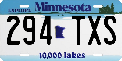 MN license plate 294TXS