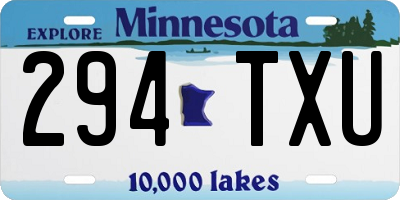 MN license plate 294TXU