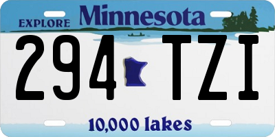 MN license plate 294TZI