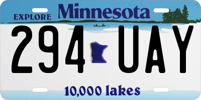 MN license plate 294UAY