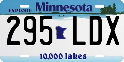 MN license plate 295LDX