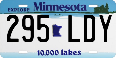 MN license plate 295LDY