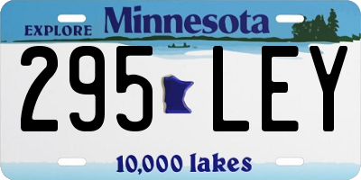 MN license plate 295LEY
