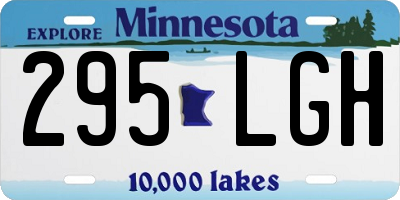 MN license plate 295LGH