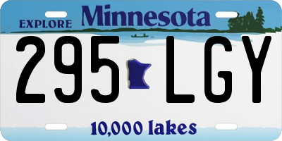 MN license plate 295LGY