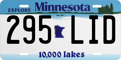 MN license plate 295LID