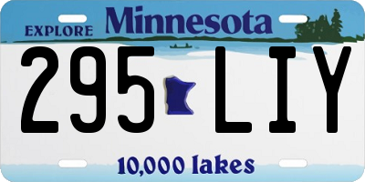 MN license plate 295LIY