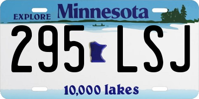 MN license plate 295LSJ