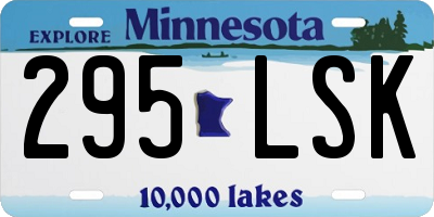 MN license plate 295LSK