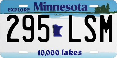 MN license plate 295LSM