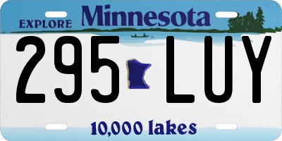 MN license plate 295LUY