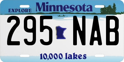 MN license plate 295NAB