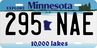 MN license plate 295NAE