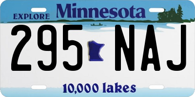 MN license plate 295NAJ