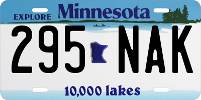 MN license plate 295NAK