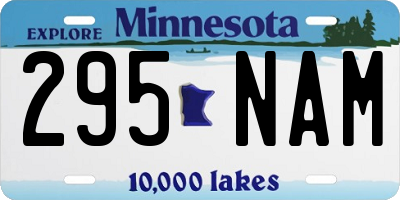 MN license plate 295NAM