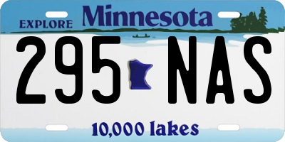 MN license plate 295NAS