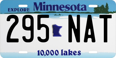 MN license plate 295NAT
