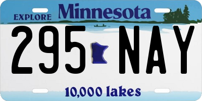 MN license plate 295NAY