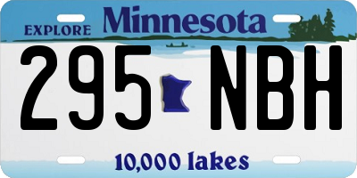 MN license plate 295NBH