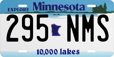 MN license plate 295NMS