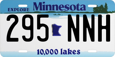 MN license plate 295NNH