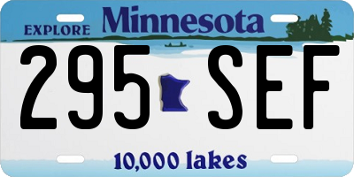 MN license plate 295SEF