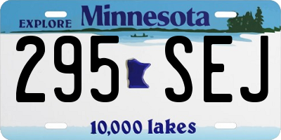 MN license plate 295SEJ