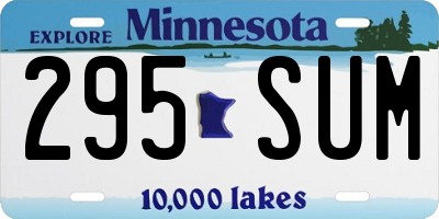 MN license plate 295SUM