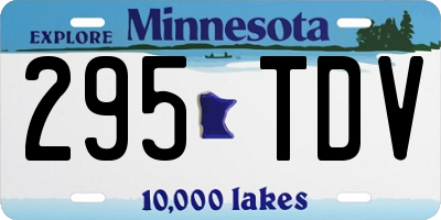MN license plate 295TDV