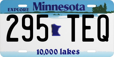 MN license plate 295TEQ