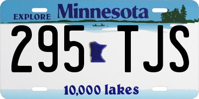 MN license plate 295TJS