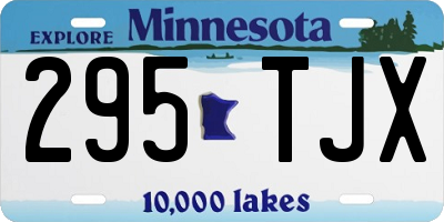 MN license plate 295TJX