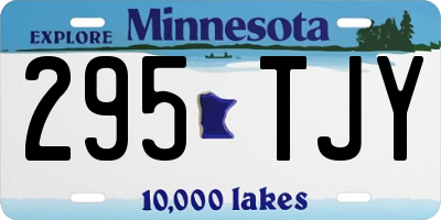 MN license plate 295TJY