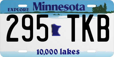 MN license plate 295TKB