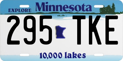 MN license plate 295TKE