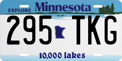 MN license plate 295TKG