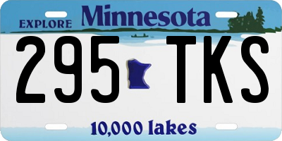MN license plate 295TKS